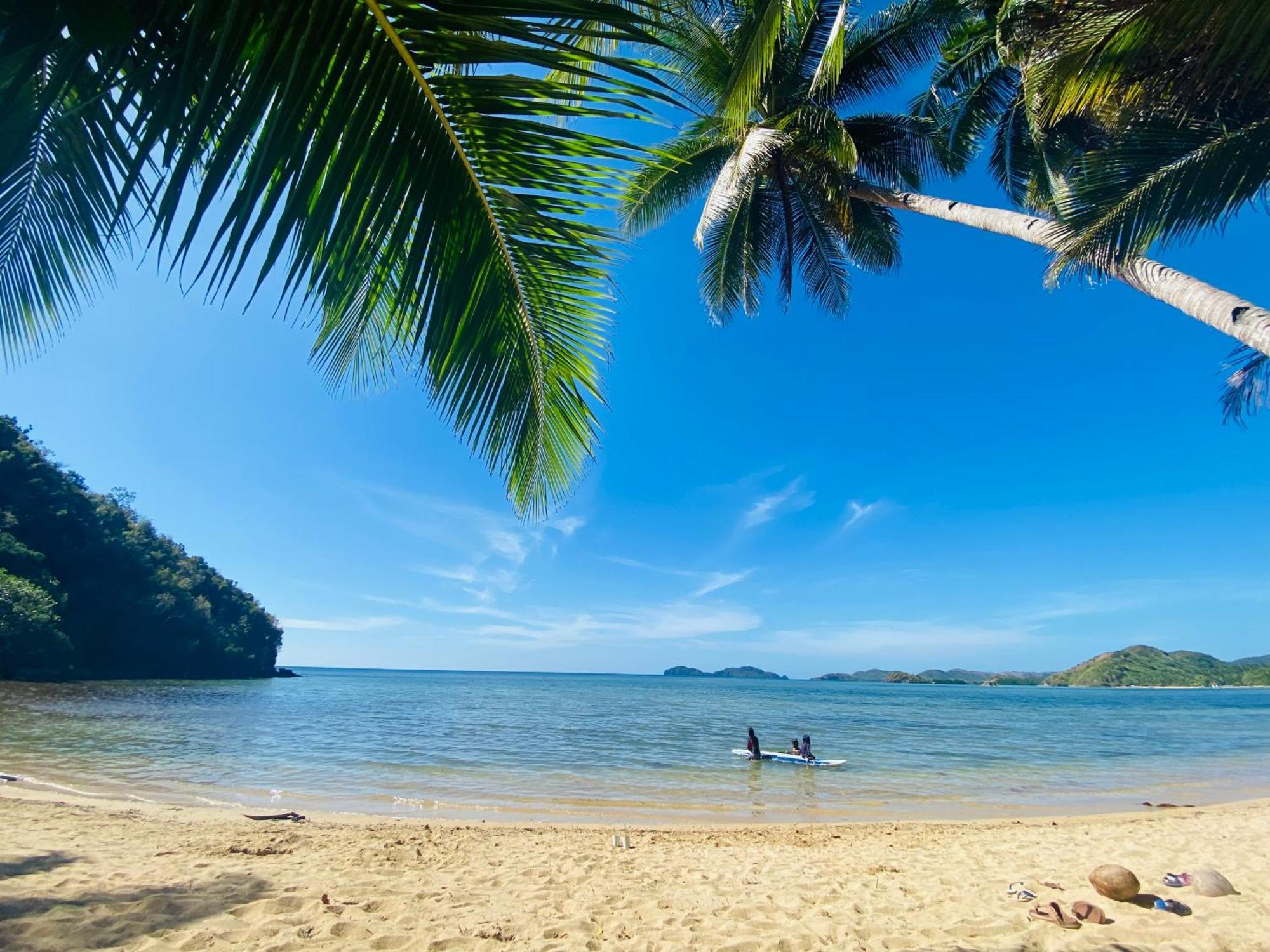 New Busuanga Ocamocam Beach Nature Resort المظهر الخارجي الصورة