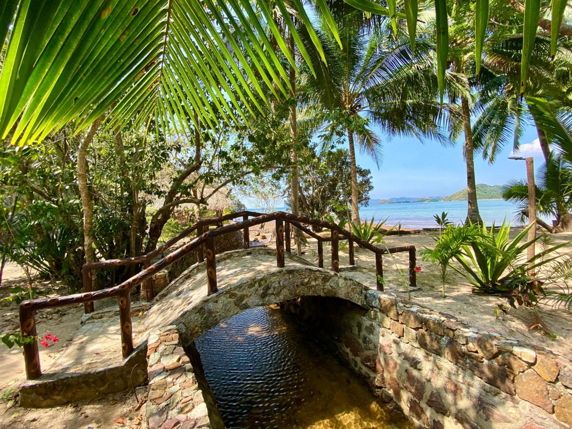 New Busuanga Ocamocam Beach Nature Resort المظهر الخارجي الصورة