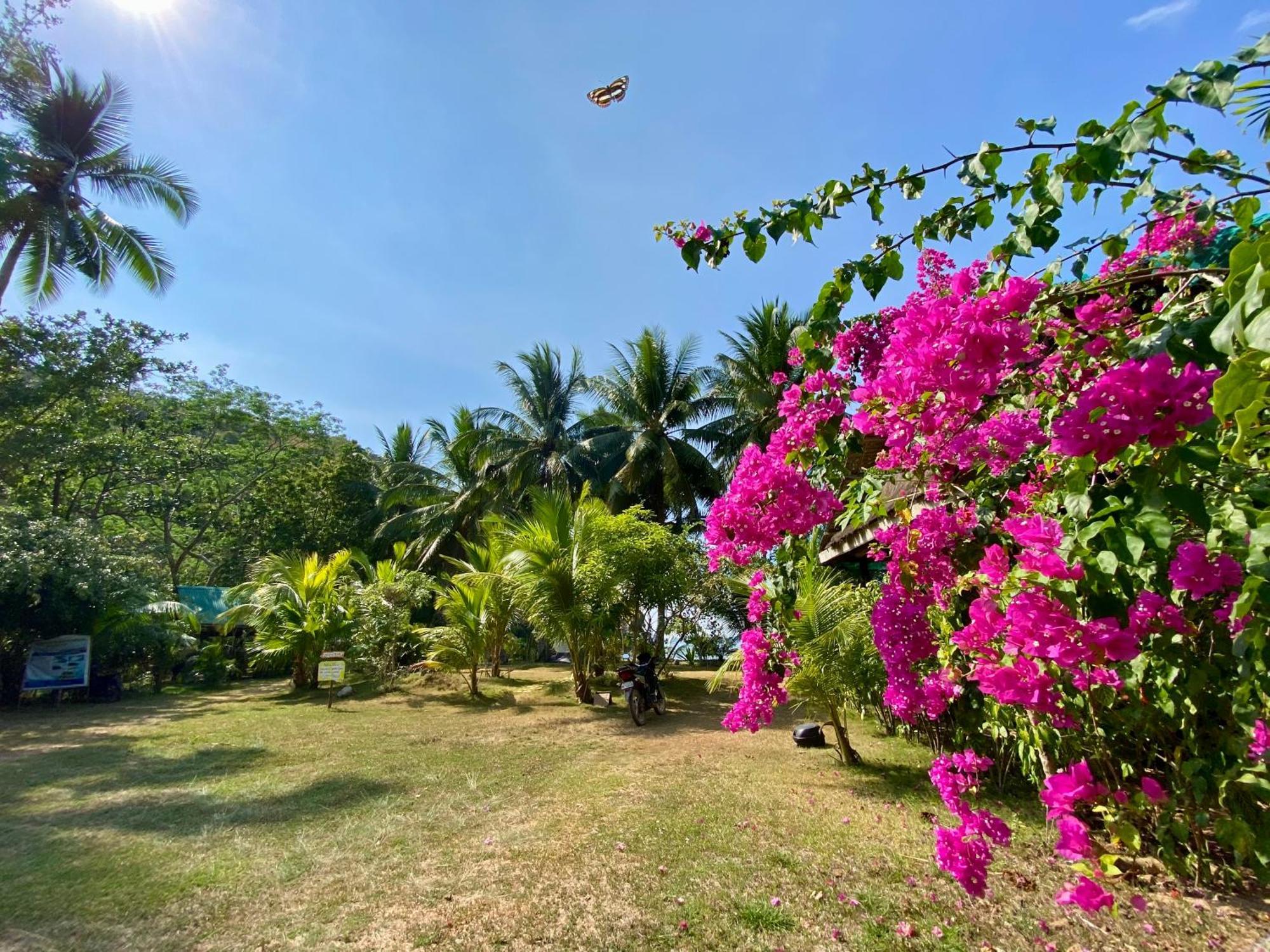 New Busuanga Ocamocam Beach Nature Resort المظهر الخارجي الصورة