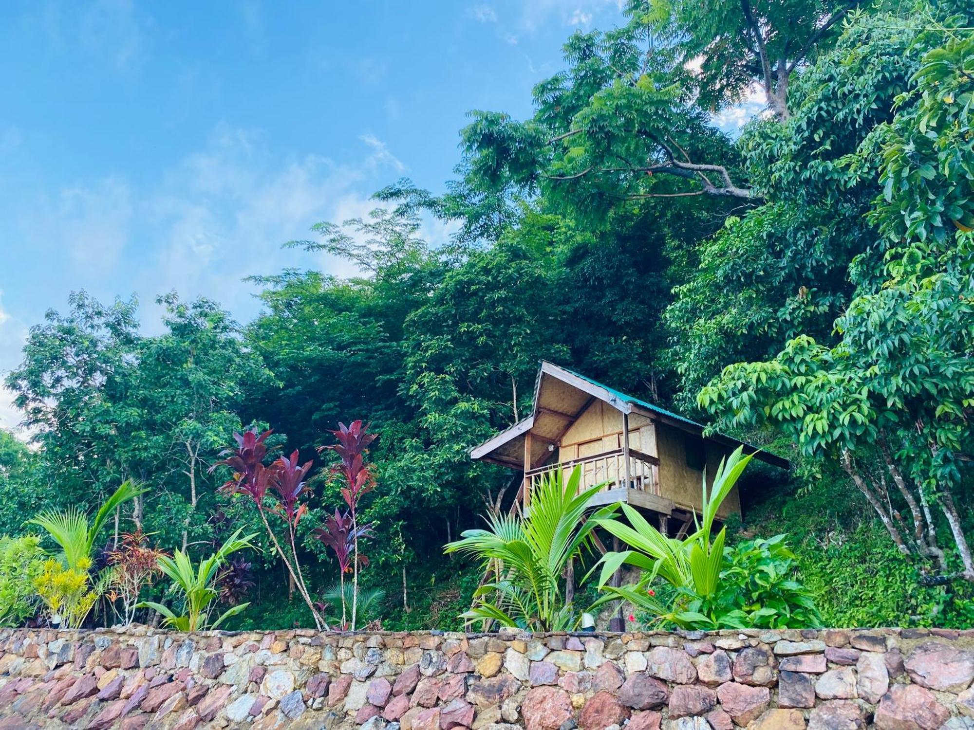 New Busuanga Ocamocam Beach Nature Resort المظهر الخارجي الصورة