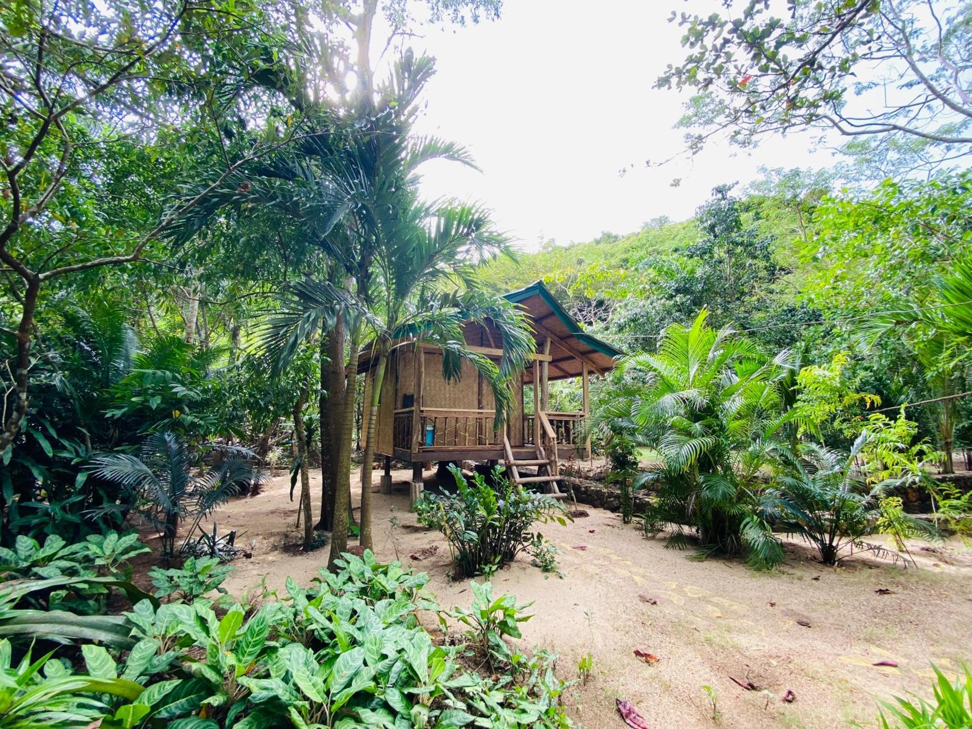 New Busuanga Ocamocam Beach Nature Resort المظهر الخارجي الصورة